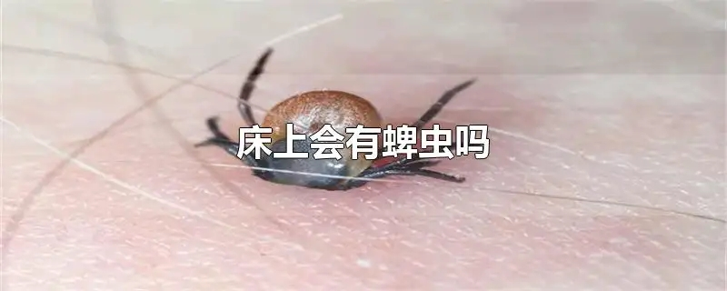 床上会有蜱虫吗.png