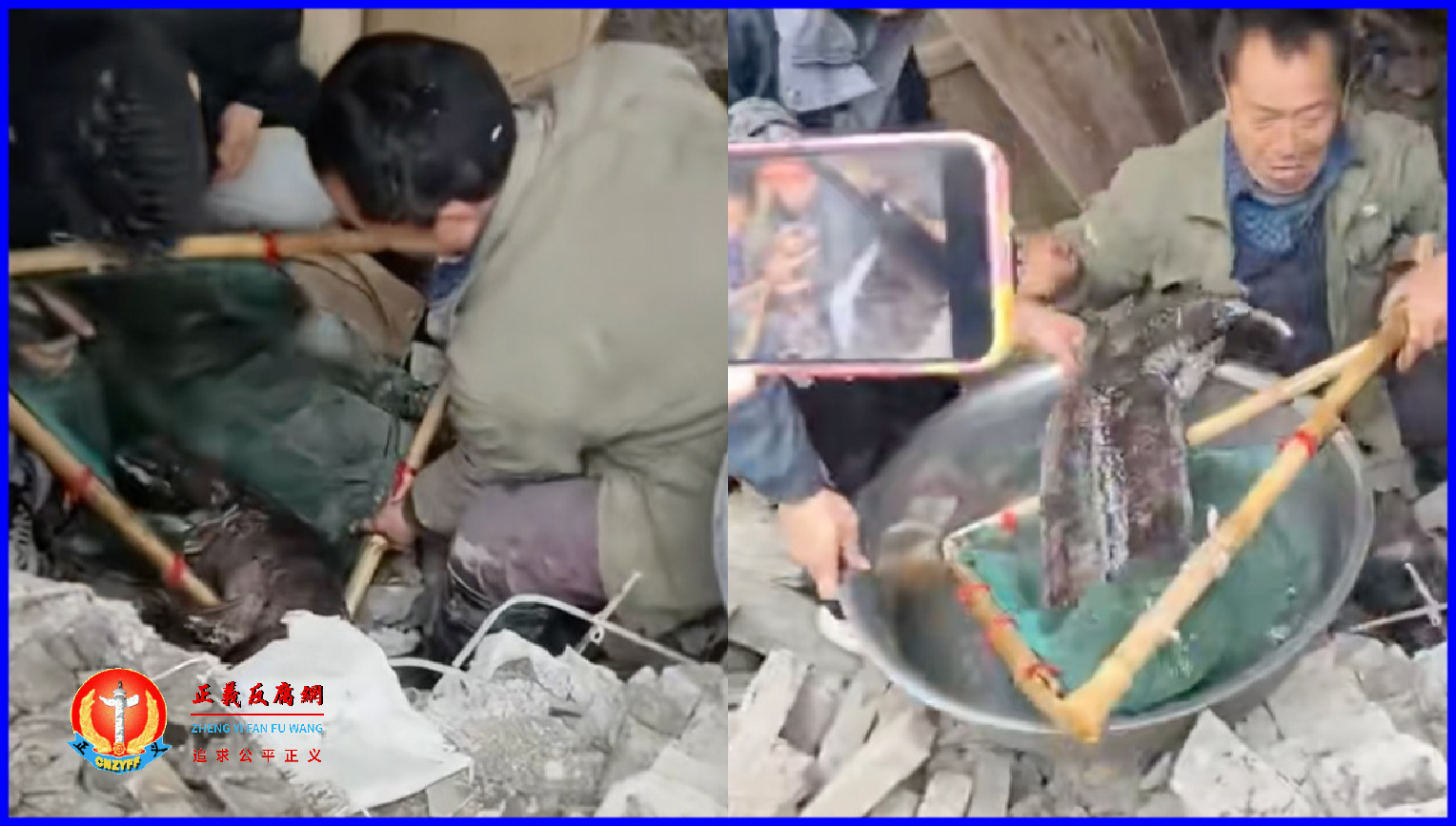 湖南一村民家的老房子拆迁,在房子地底下挖出一条重达40斤的娃娃鱼。.png 湖南一村民家的老房子拆迁,在房子地底下挖出一条重达40斤的娃娃鱼。.png