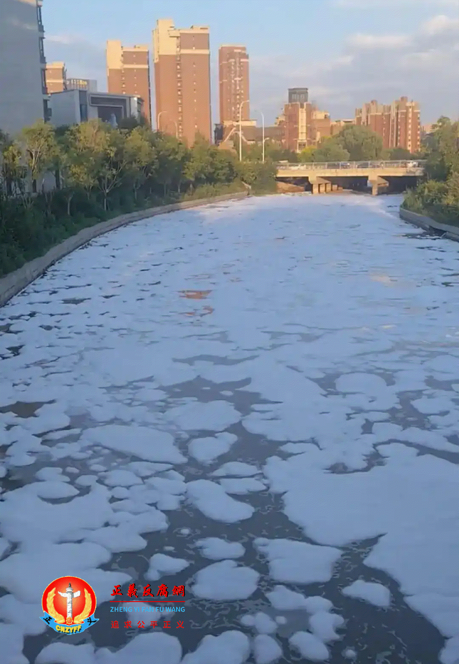 8月9日傍晚,沈阳市生态环境部门发现白塔堡河支流白支排干河道内出现大量泡沫。.gif 8月9日傍晚,沈阳市生态环境部门发现白塔堡河支流白支排干河道内出现大量泡沫。.gif